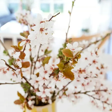 度假居 Classic House 100 Meters To The *