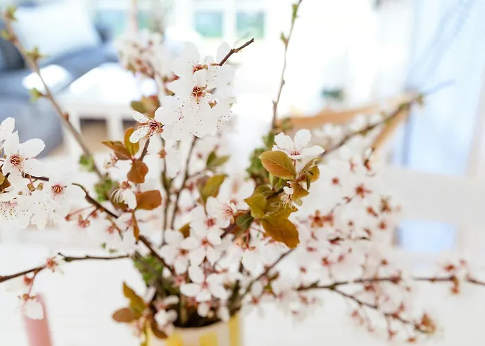 Classic House 100 Meters To The